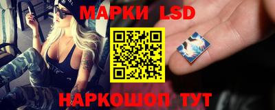 шишки Обь