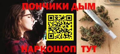шишки Обь