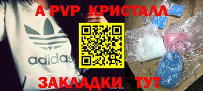 шишки Обь